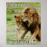 Lion and Lioness Poster