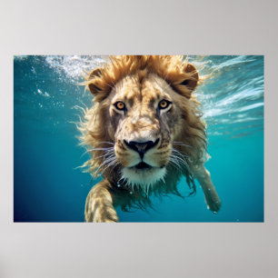 Lion Animal Fun Nature Playing Water Out Poster