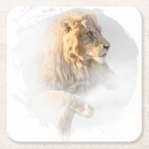 Lion Animal Life Wild Jungle Nature Safari