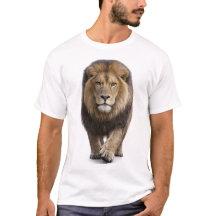 Lion Approaching