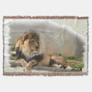 Lion at Rest Throw Blanket