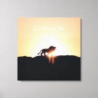 Lion at sunset Living on the EDGE