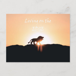 Lion at sunset Living on the EDGE Postcard