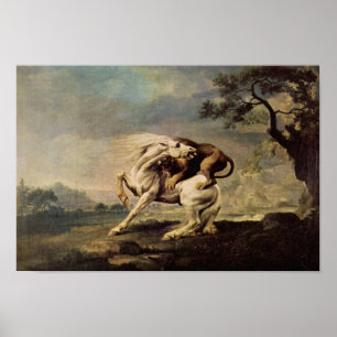 Lion Attacking a Horse Poster