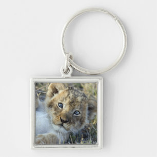 Lion Baby Key Ring