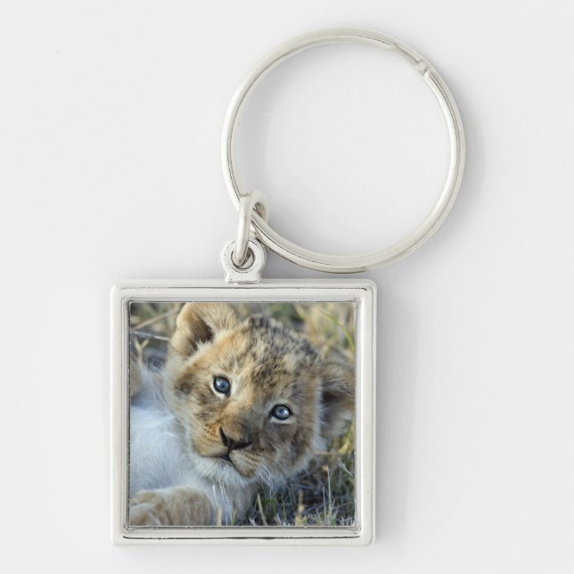 Lion Baby Key Ring (Front)