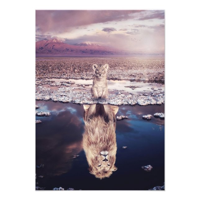 Lion Baby Lion Will Grow Up Photo Print (Front)