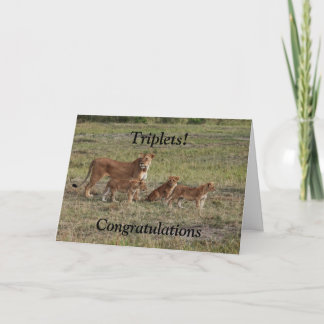 Lion baby triplets birth congratulations card