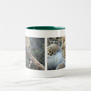 Lion Babys Two-Tone Coffee Mug