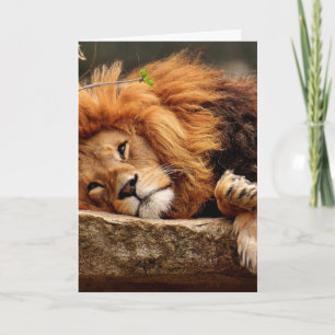 LION BIRTHDAY GREETING CARDS CARD