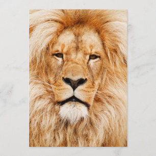 Lion Birthday Party Invitation