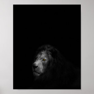 Lion, black and white photograph, poster