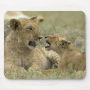 Lion Brothers Mouse Mat