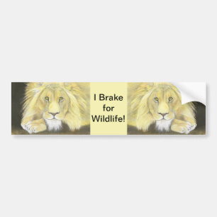 Lion Bumper Sticker
