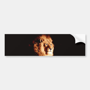Lion Bumper Sticker