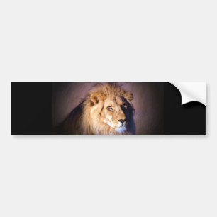 Lion Bumper Sticker