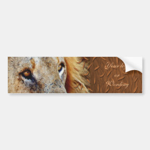 Lion bumpersticker bumper sticker
