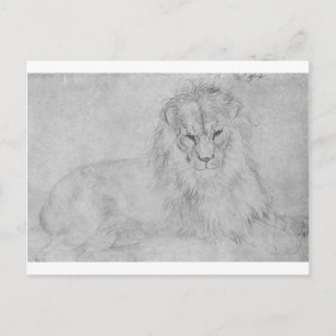 Lion by Albrecht Durer Postcard