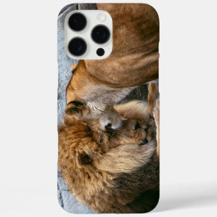 Lion iPhone 16 Pro Max Case