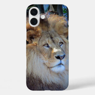 lion iPhone 16 plus case