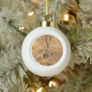 Lion Ceramic Ball Christmas Ornament