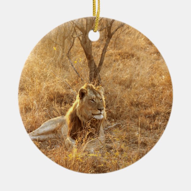 Lion Ceramic Tree Decoration (Front)