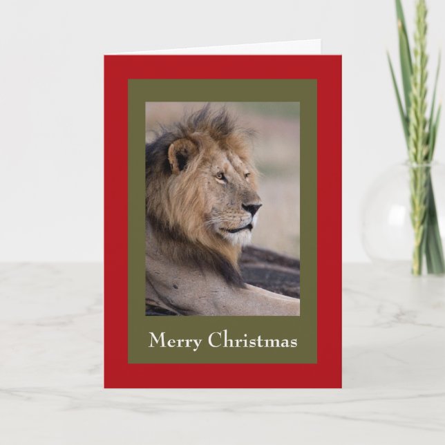 lion-christmas-cards holiday card (Front)