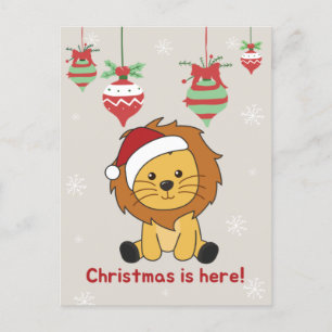 Lion Christmas Snow Winter Animals Lions Holiday P Postcard