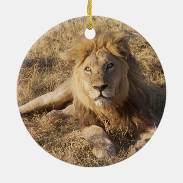 Lion Christmas tree ornament (Back)
