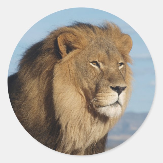 Lion Classic Round Sticker (Front)