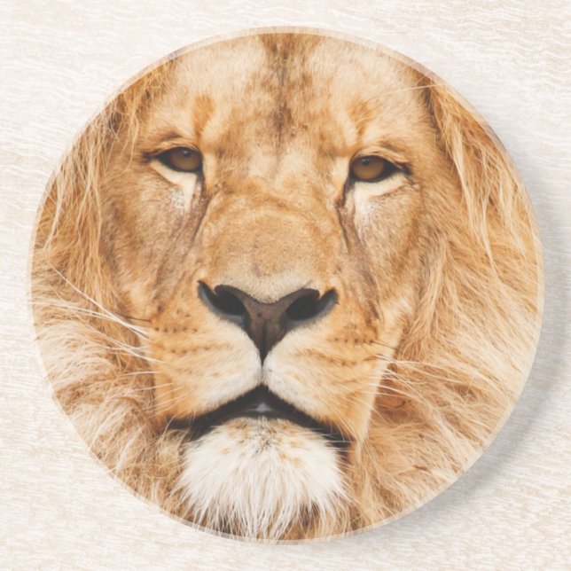 Lion Coaster (Front)
