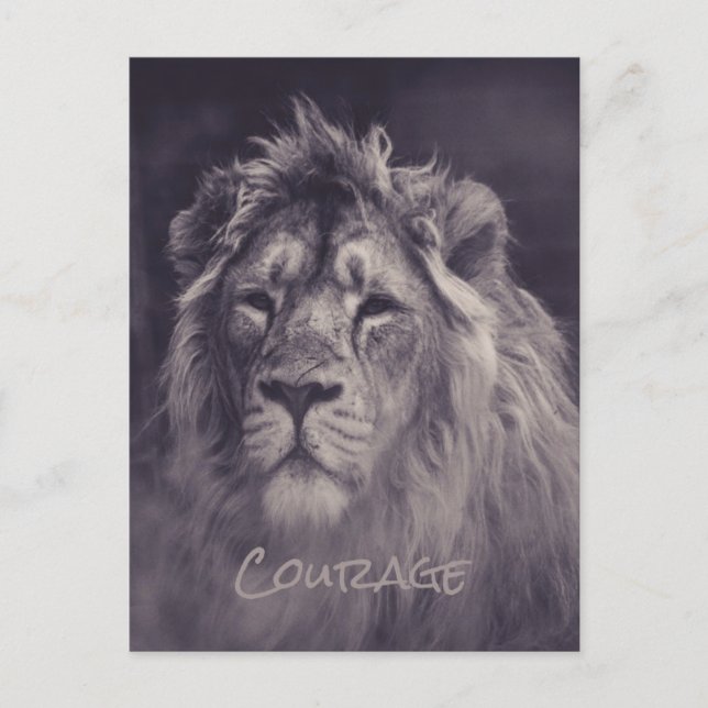 Lion Courage King of the Jungle Postcard (Front)