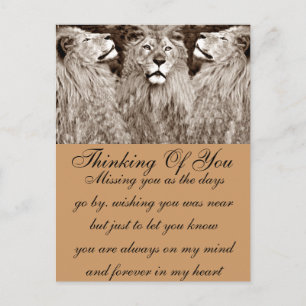 Lion,Courage,Power&Strength_ Postcard