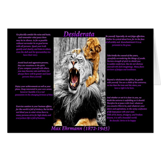 Lion Cub (Front Horizontal)