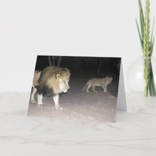 Lion & Cub Card