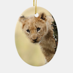 Lion Cub Ceramic Tree Decoration
