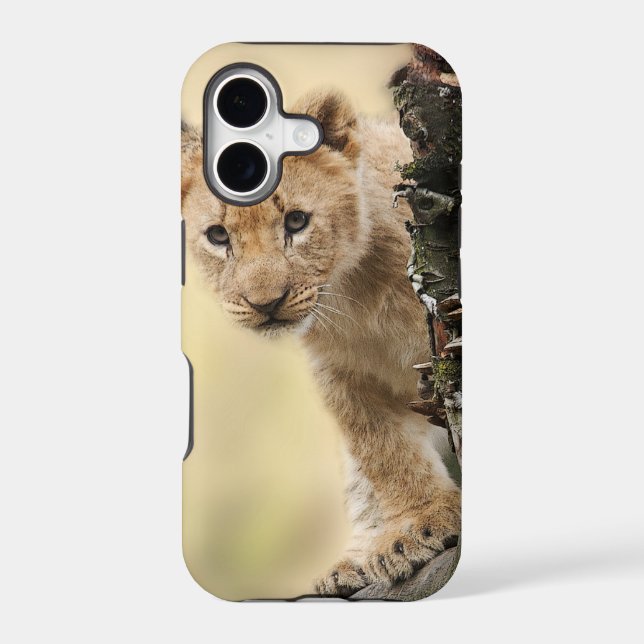 Lion Cub Climbing Tree Cute Photo (Back)