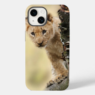 Lion Cub Climbing Tree Cute Photo Case-Mate iPhone 14 Case