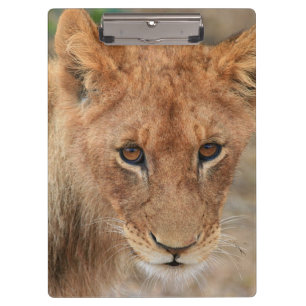 Lion Cub Clipboard