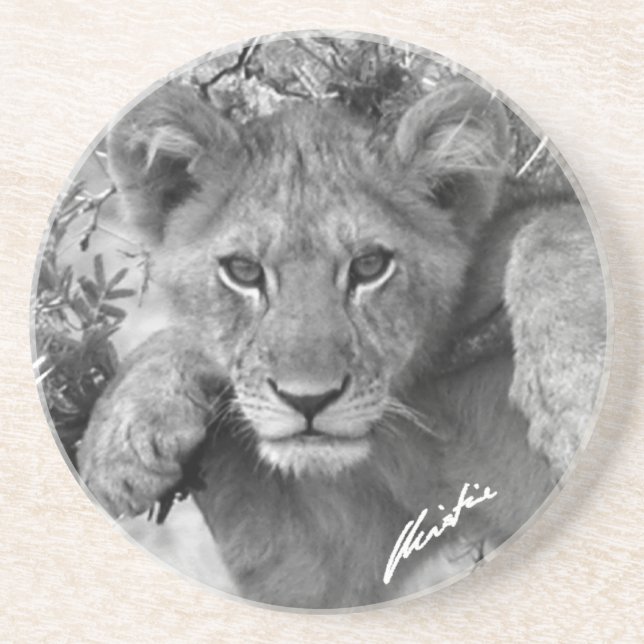 Lion Cub Coaster (Front)