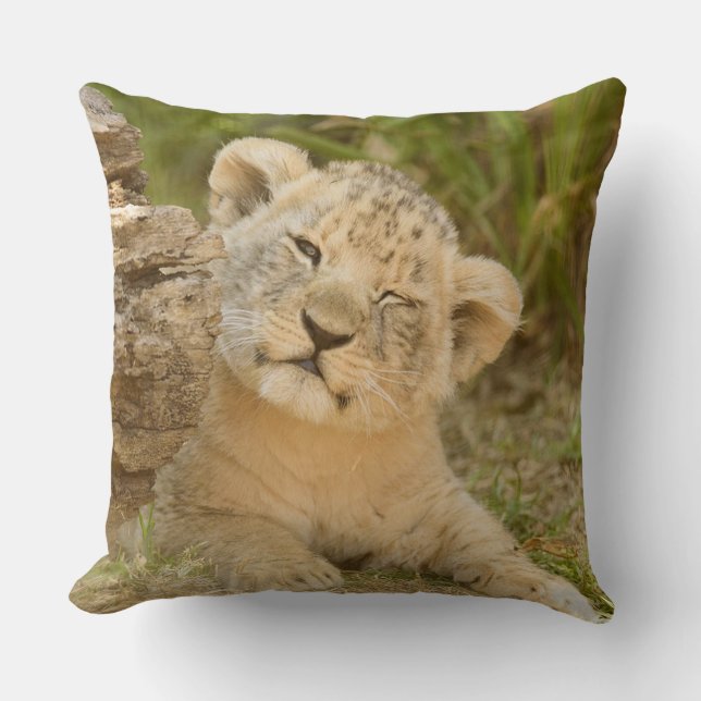 Lion Cub Cushion (Front)