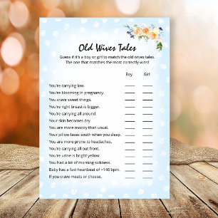 Lion Cub Floral Blue Old Wives Tales Shower Game Programme