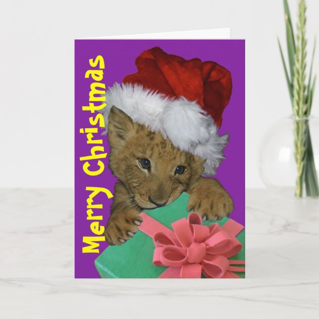 Lion Cub Gift Christmas Card (Front)