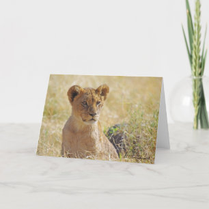 Lion Cub Greeting Card