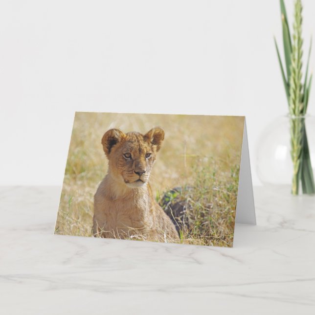Lion Cub Greeting Card (Front)
