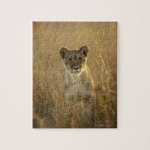 Lion Cub   Hwange National Park, Zimbabwe Jigsaw Puzzle