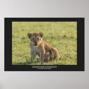 Lion Cub In Natural Setting Personalise Text  Poster
