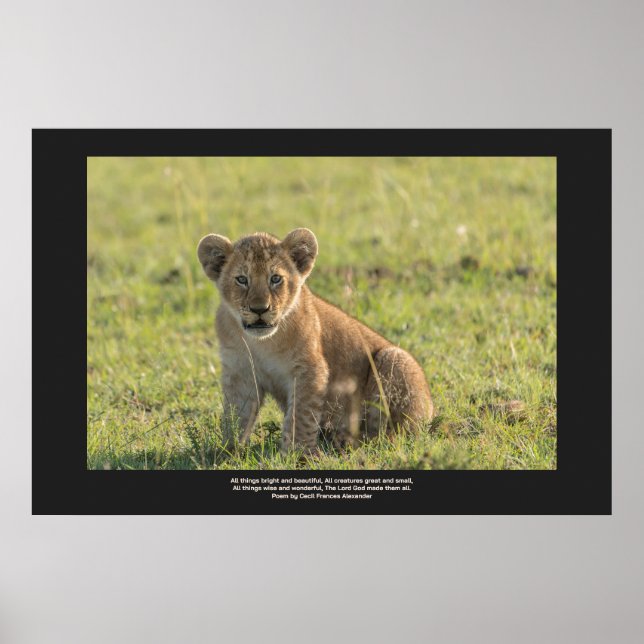 Lion Cub In Natural Setting Personalise Text  Poster (Front)