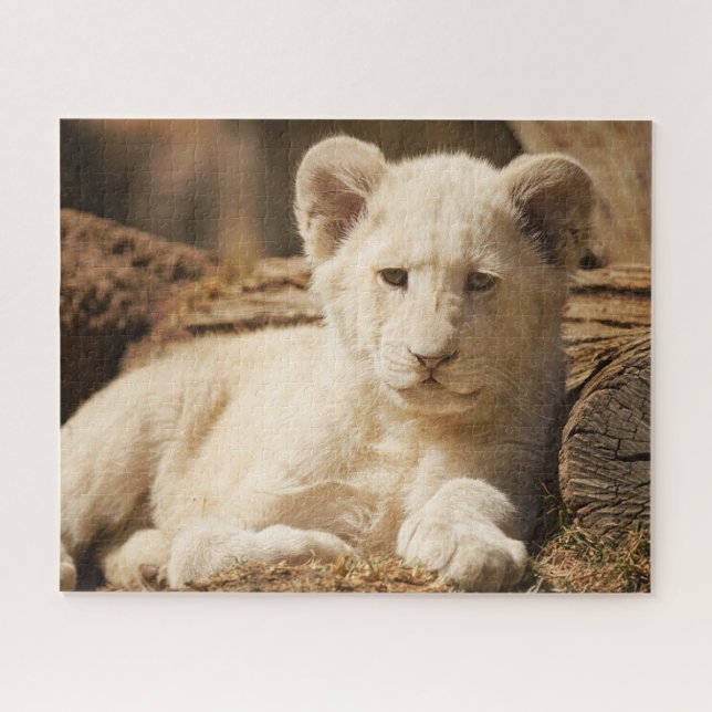 Lion Cub Jigsaw Puzzle (Horizontal)