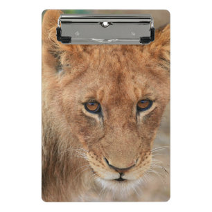 Lion Cub Mini Clipboard